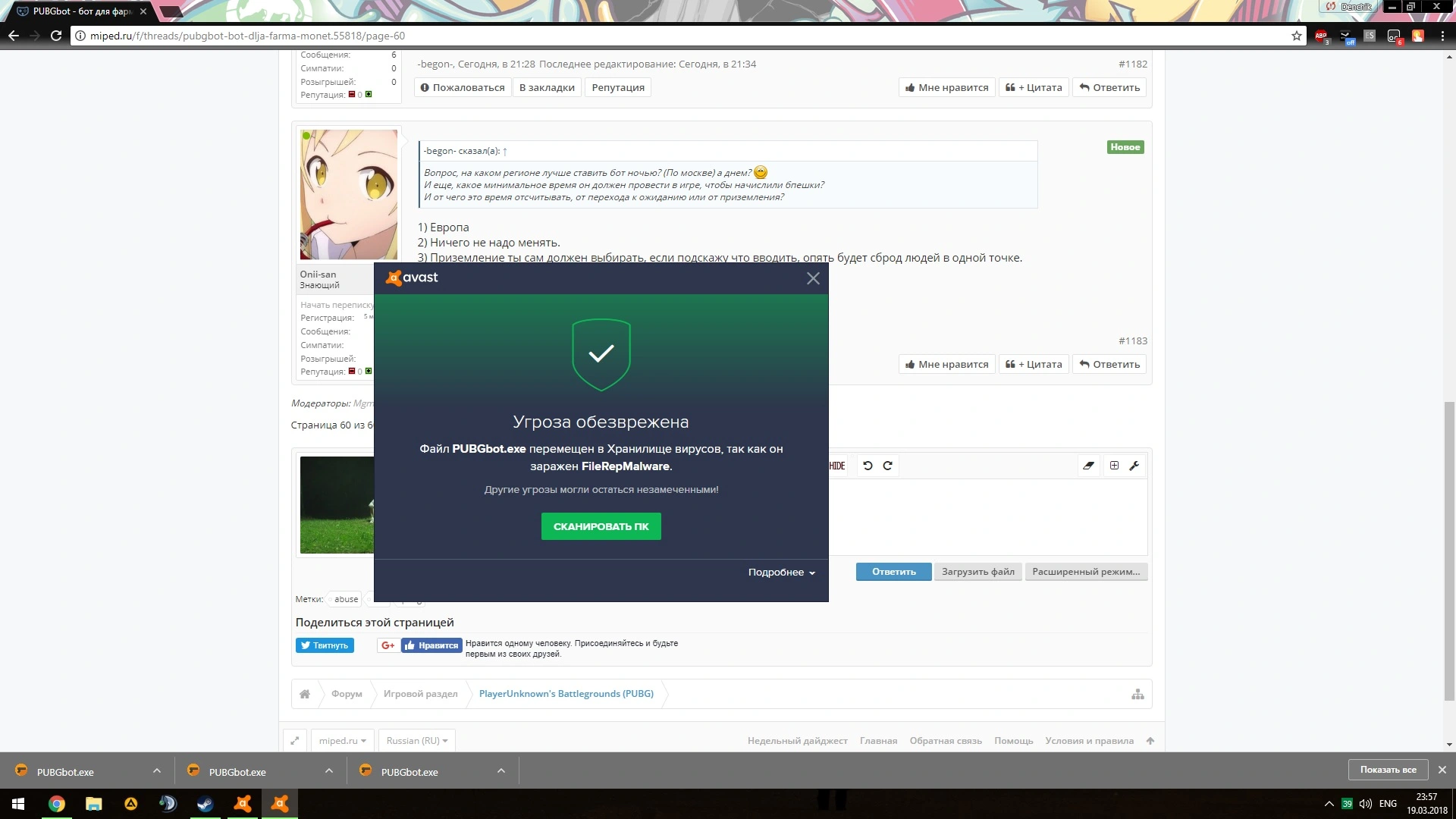 11.webp