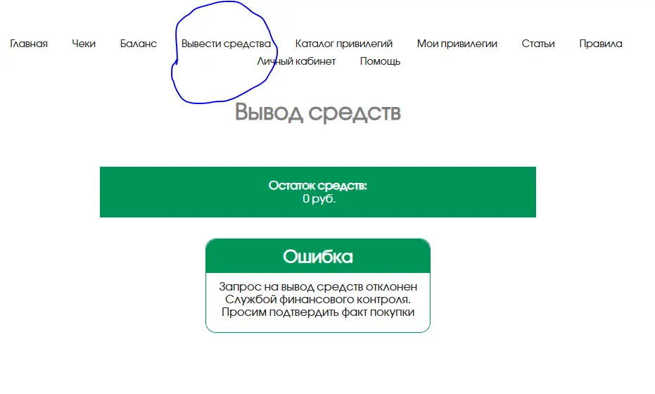 11.webp