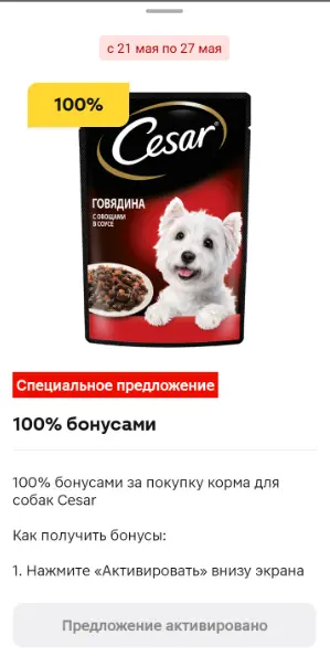 11.webp