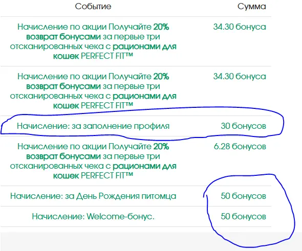 11.webp