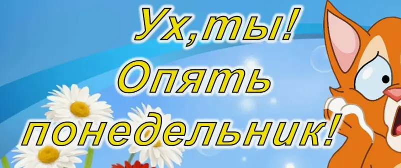 11.webp