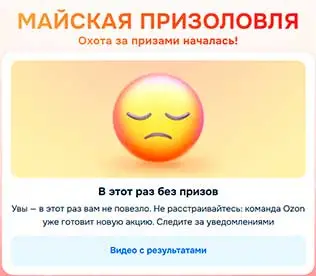 11.webp