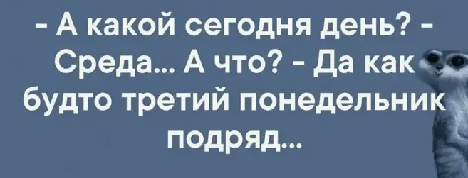 11.webp