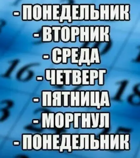 11.webp
