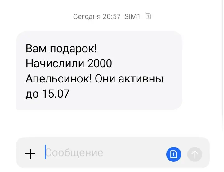11.webp
