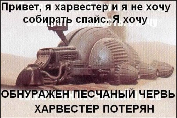 111.webp