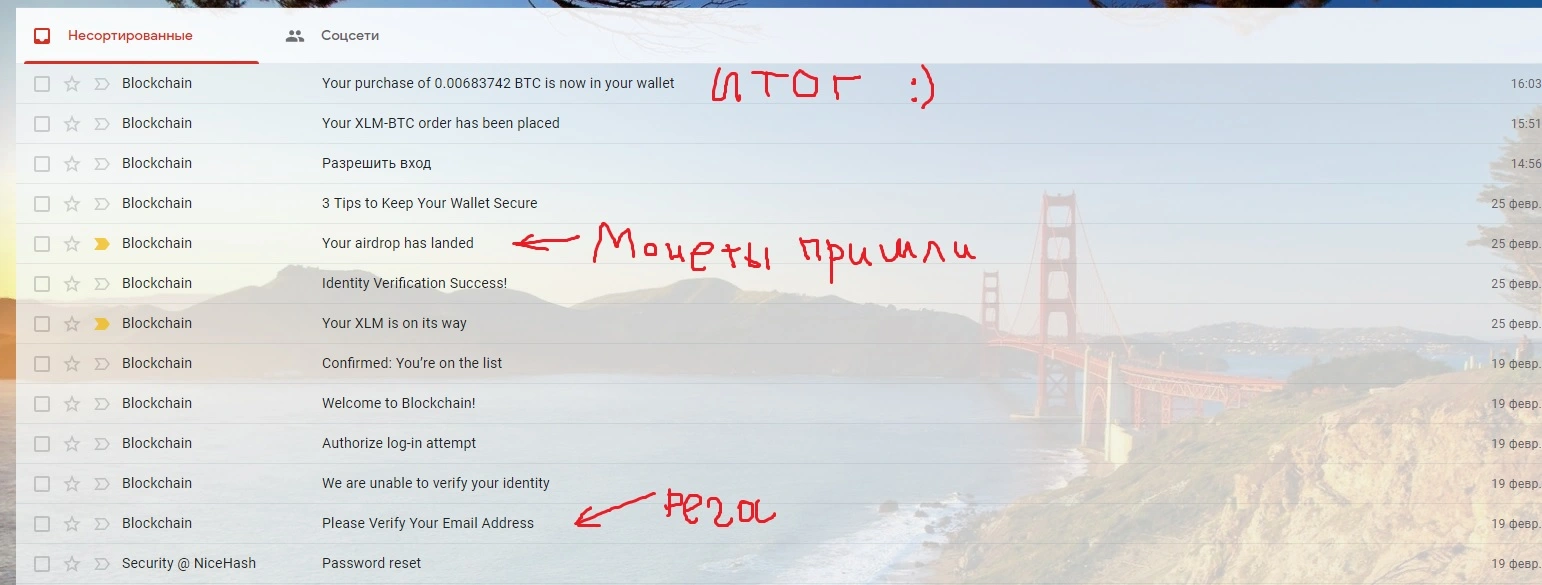 1111.webp