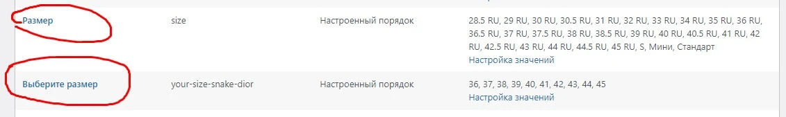 111111.webp