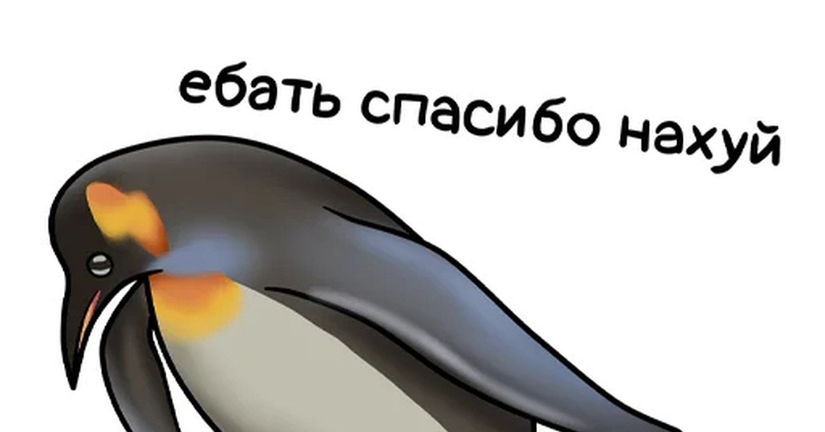 1111111.webp