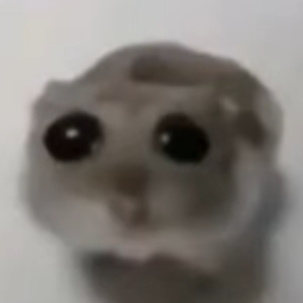 11111111111111111111111111111111.webp