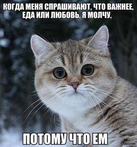 112-9M4gv44uVHM.webp