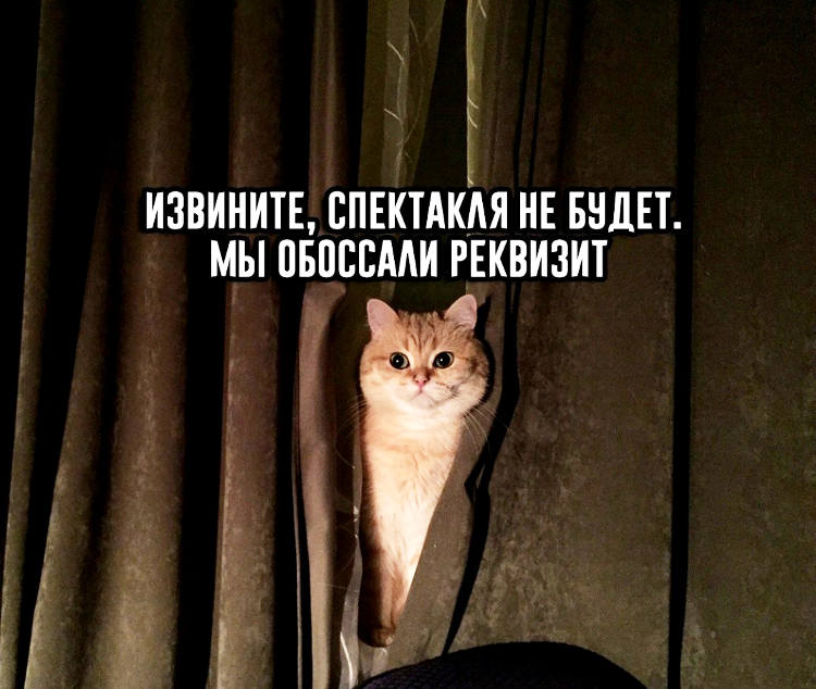 113c155a333330f5e0b10b892fef1c05.webp