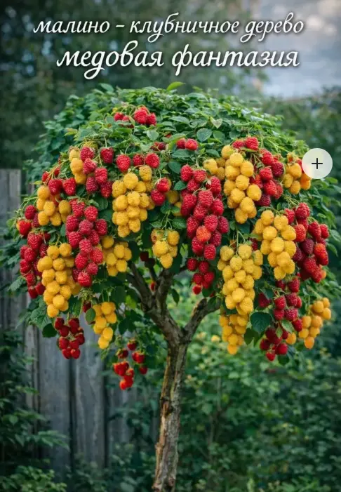 114.webp