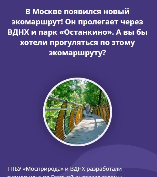 120.webp