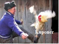 121.webp
