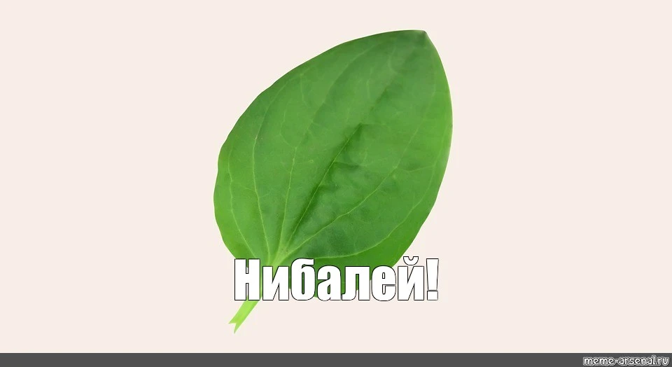 1212.webp