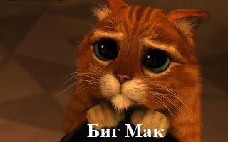 1212.webp