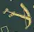 123.webp