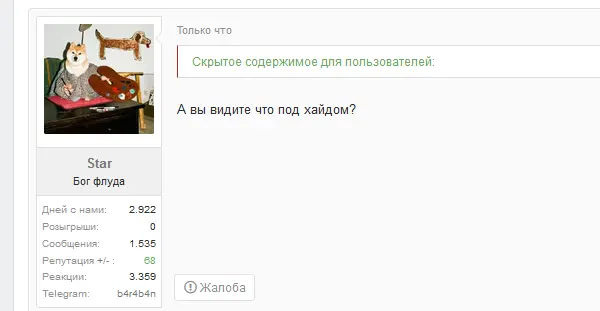 123.webp