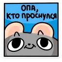123.webp