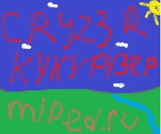 12310.webp