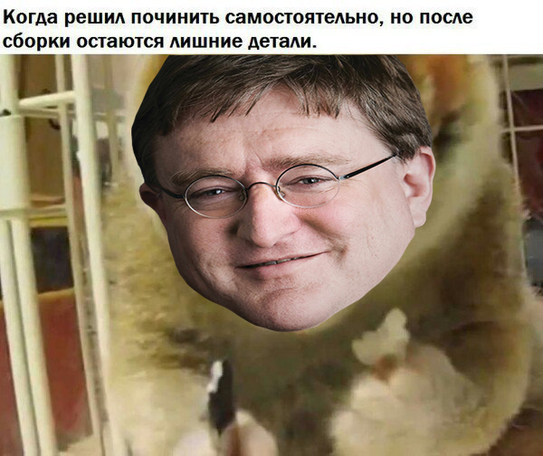 123213.webp
