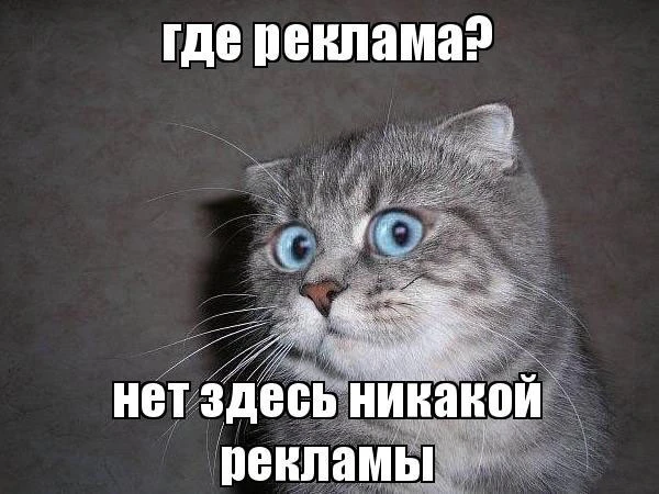 1232_1459251583.webp