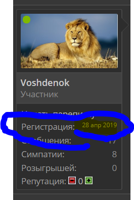 1234.webp