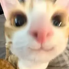 1242141244142.png