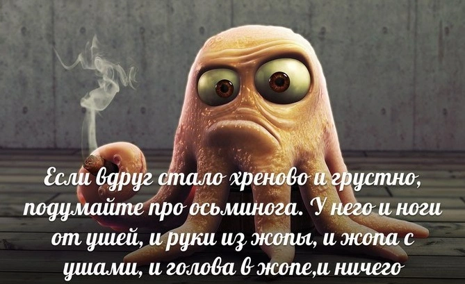 124772760_h123.webp