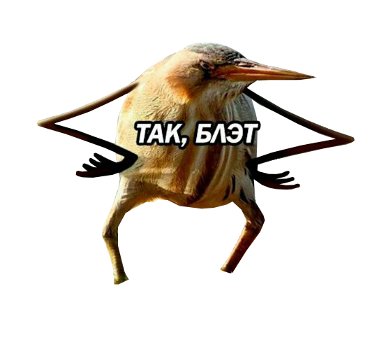 12710524_452f5e3373b70e69b3f2bfabcfd5a7c6_800.webp