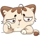 128 (4).webp