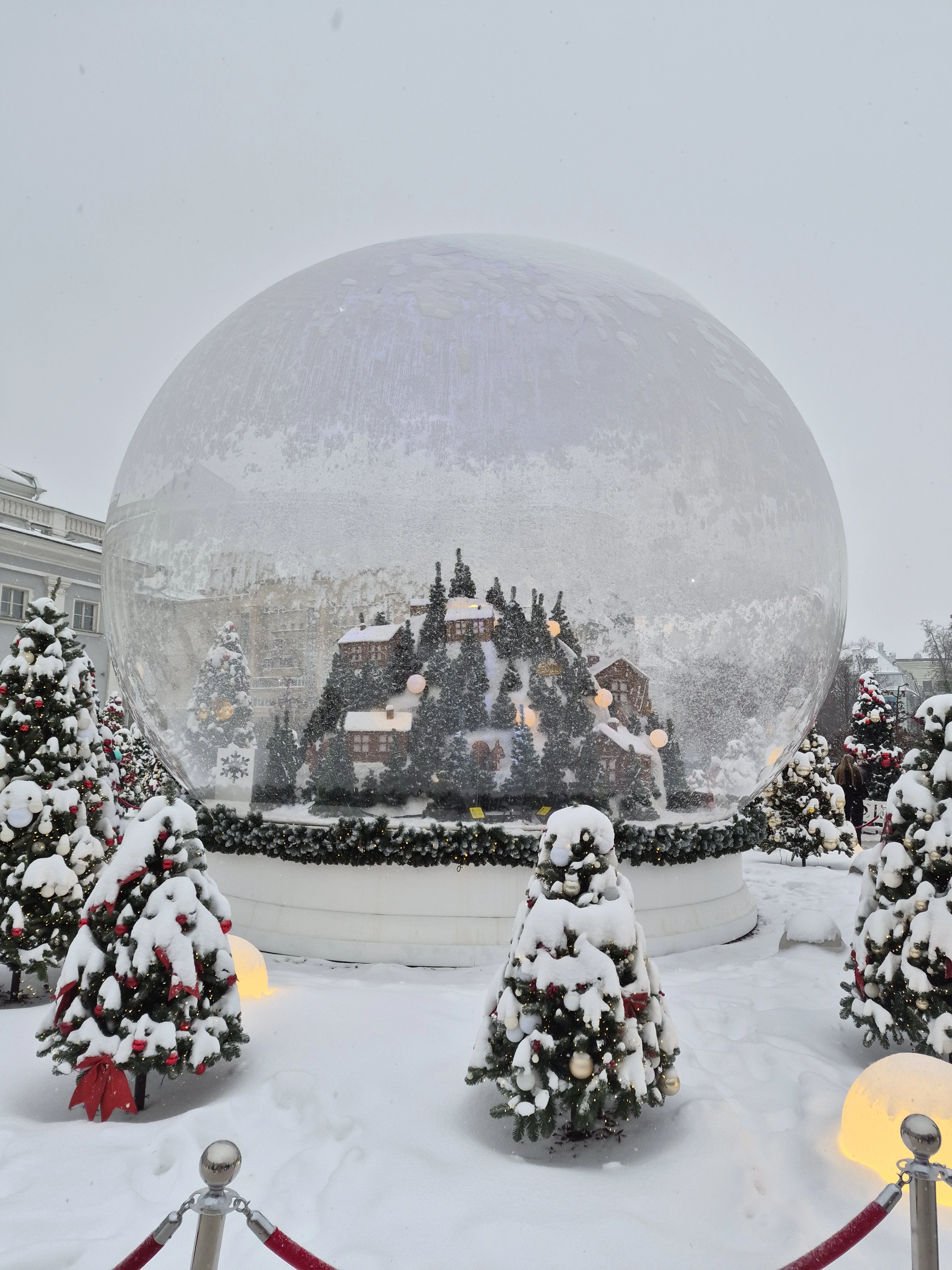 12926.webp