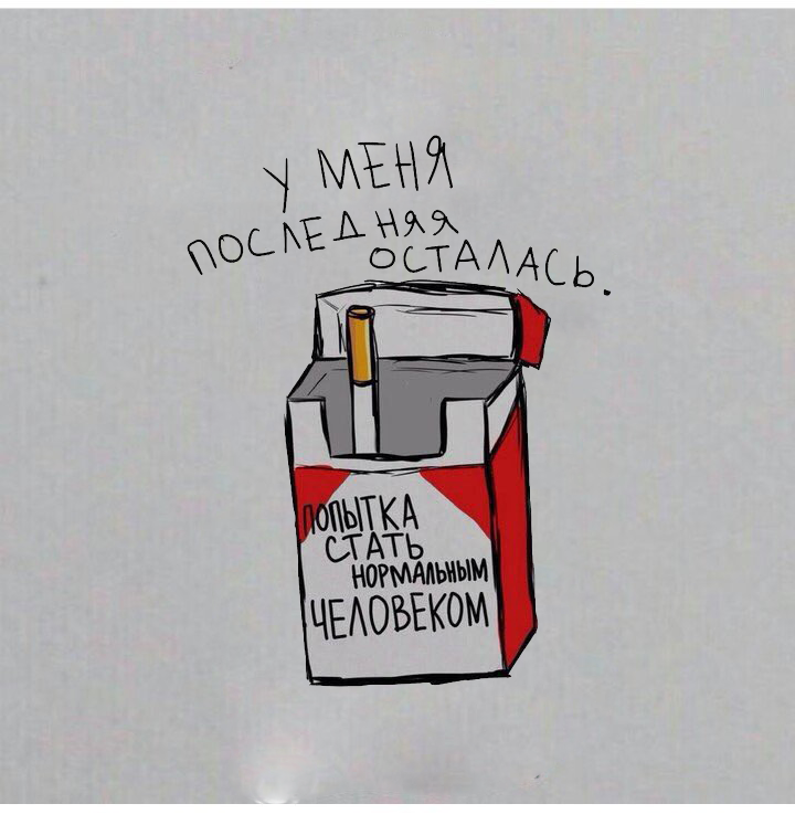 12dwsfsd3w434g34.webp