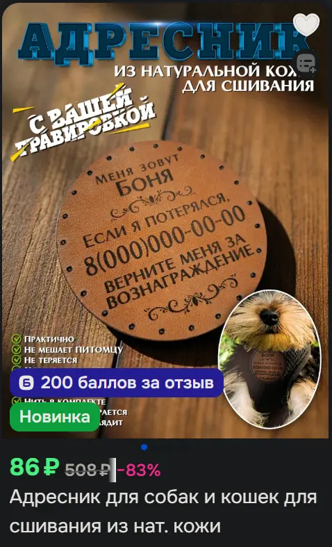 13.webp