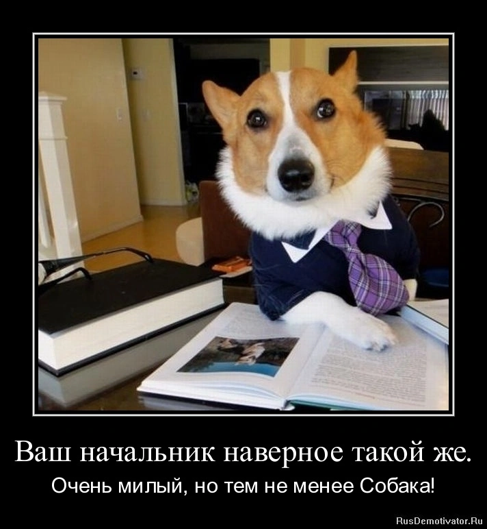 1311694176-vash-nachalnik-navernoe-takoj-zhe..webp