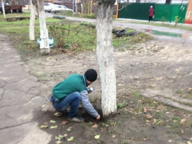 13195286.webp