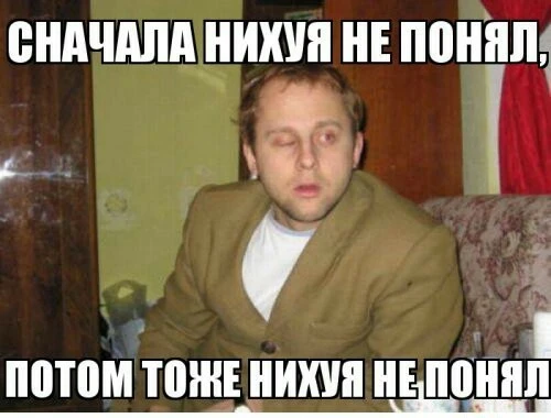 13365528.webp
