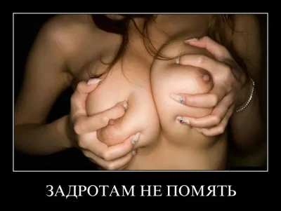 13438922377946.webp