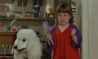 13526746954630.gif