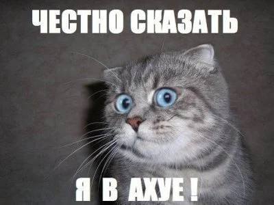 13663802483381.webp