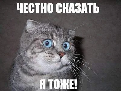 13663808551621.webp