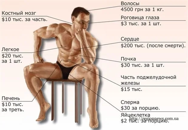 1379515121_172395.webp