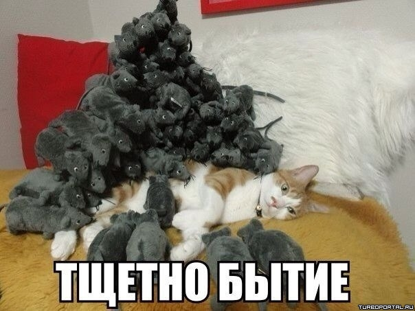 !1381647894_bytie.webp