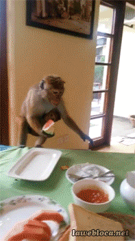1382857696_1891889912.gif