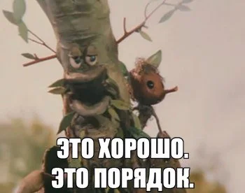13847873266255.webp