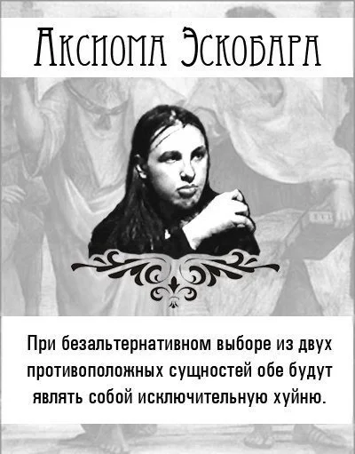 13868619316779.webp