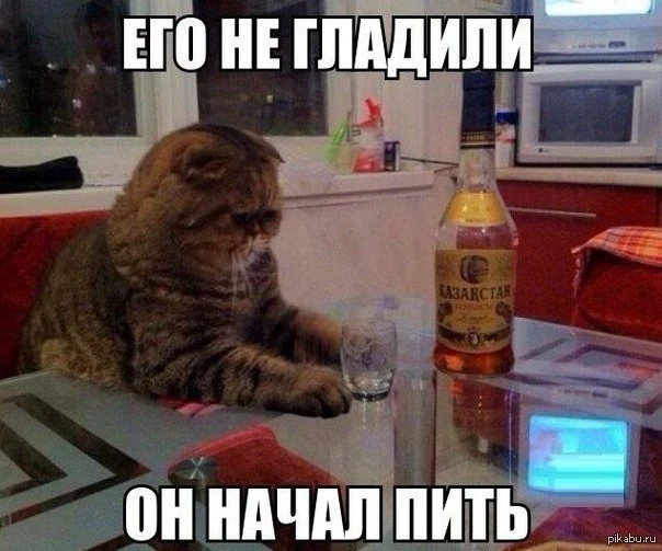 1390572915_113401421.webp