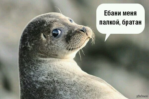 1394232549_714521178.webp