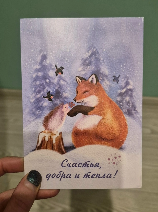 13950.webp